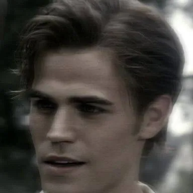 chat with ai character: Stefan Salvatore 