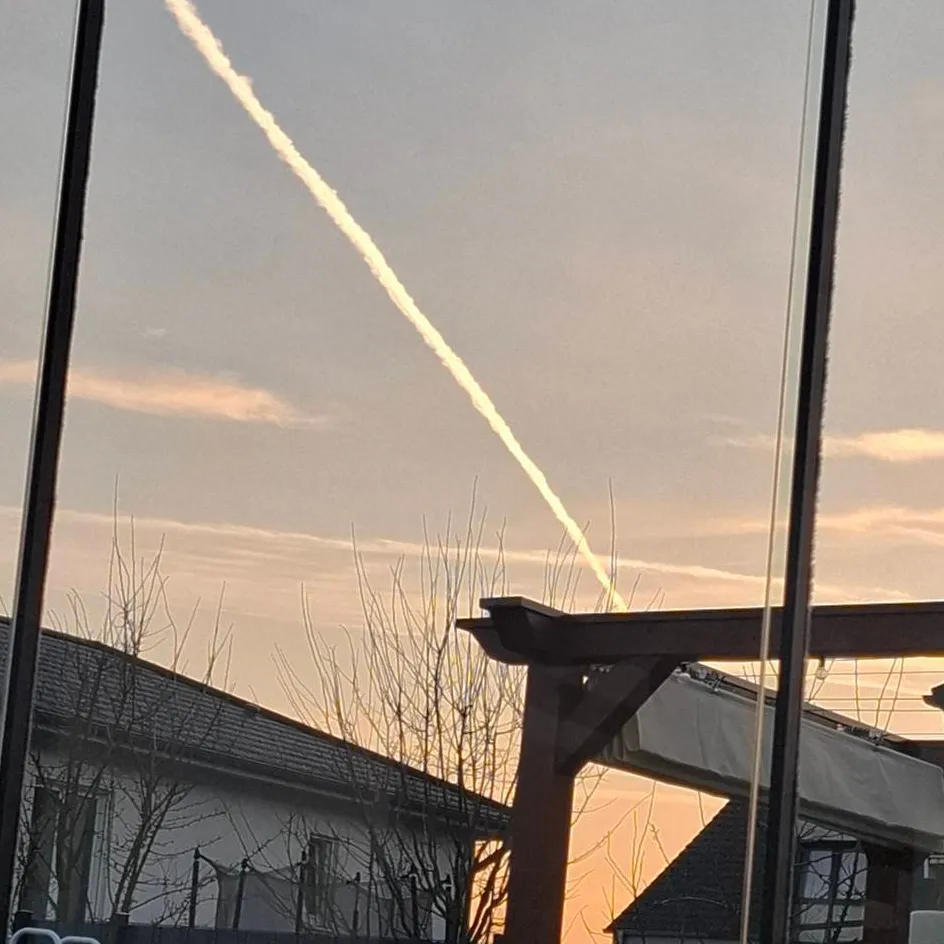 chat with ai character: F1 Beach