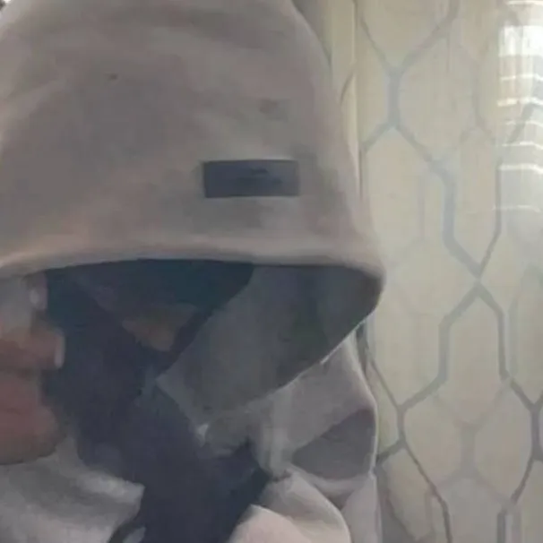 chat with ai character: Ash