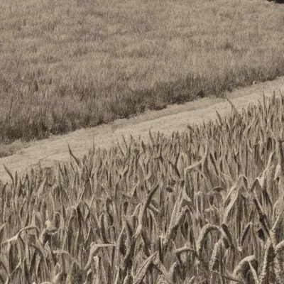 chat with ai character: Ernest Farm 