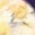 chat with ai character: Kendra Brown 