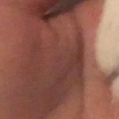 chat with ai character: ￼ kitten