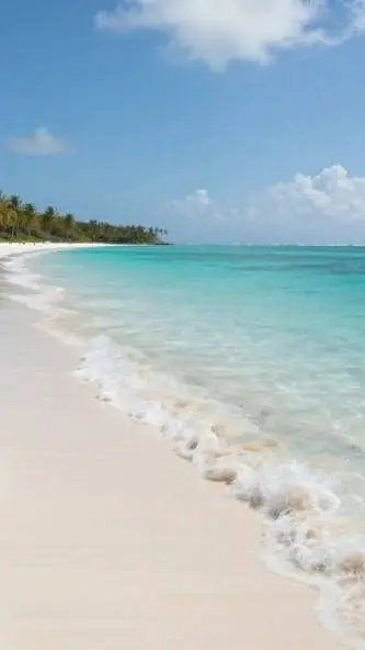 ai character: citrus squad crk!  background