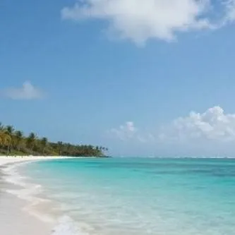 chat with ai character: citrus squad crk! 