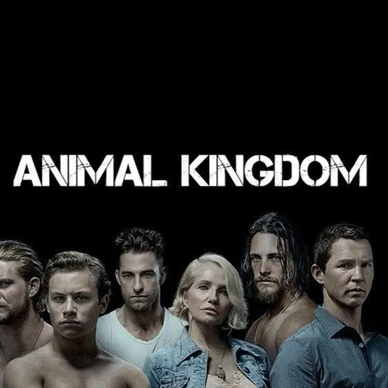 chat with ai character: Animal Kingdom