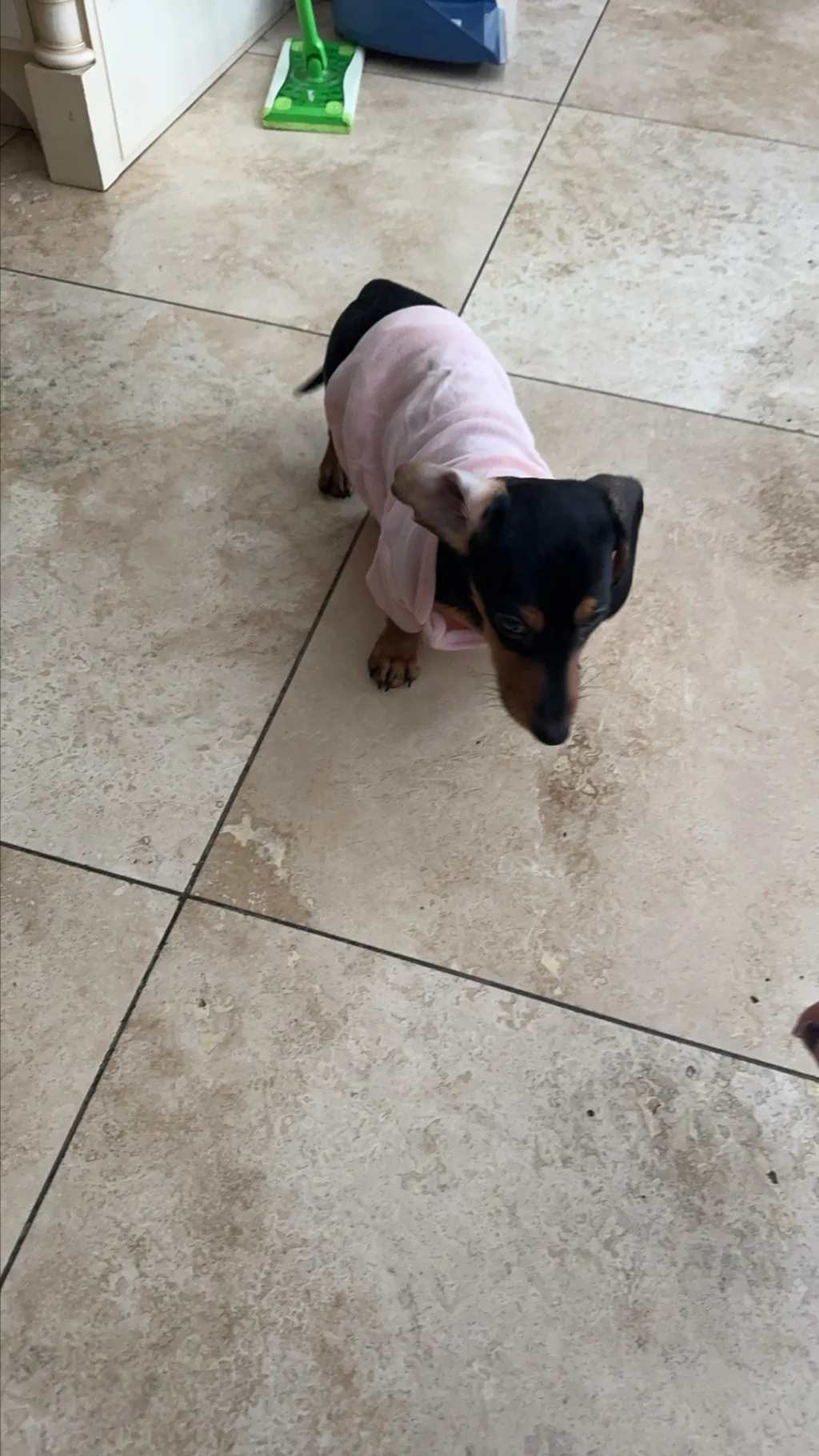 ai character: CH background