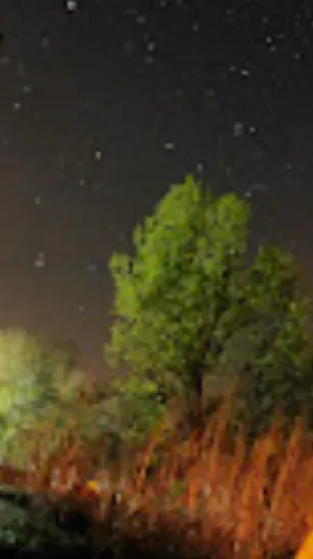 ai character: Obanai  background