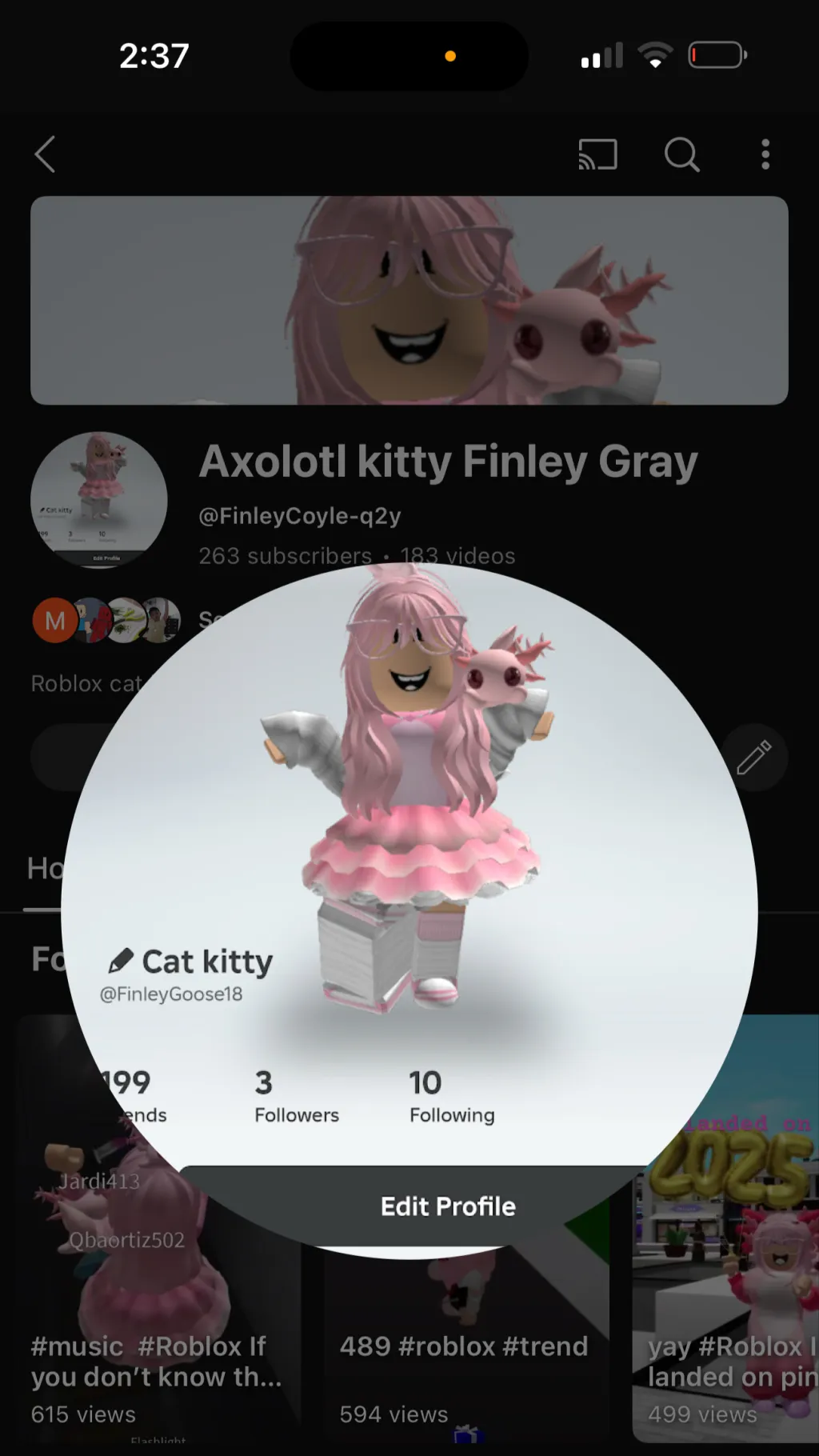 ai character: Axolotl kitty background