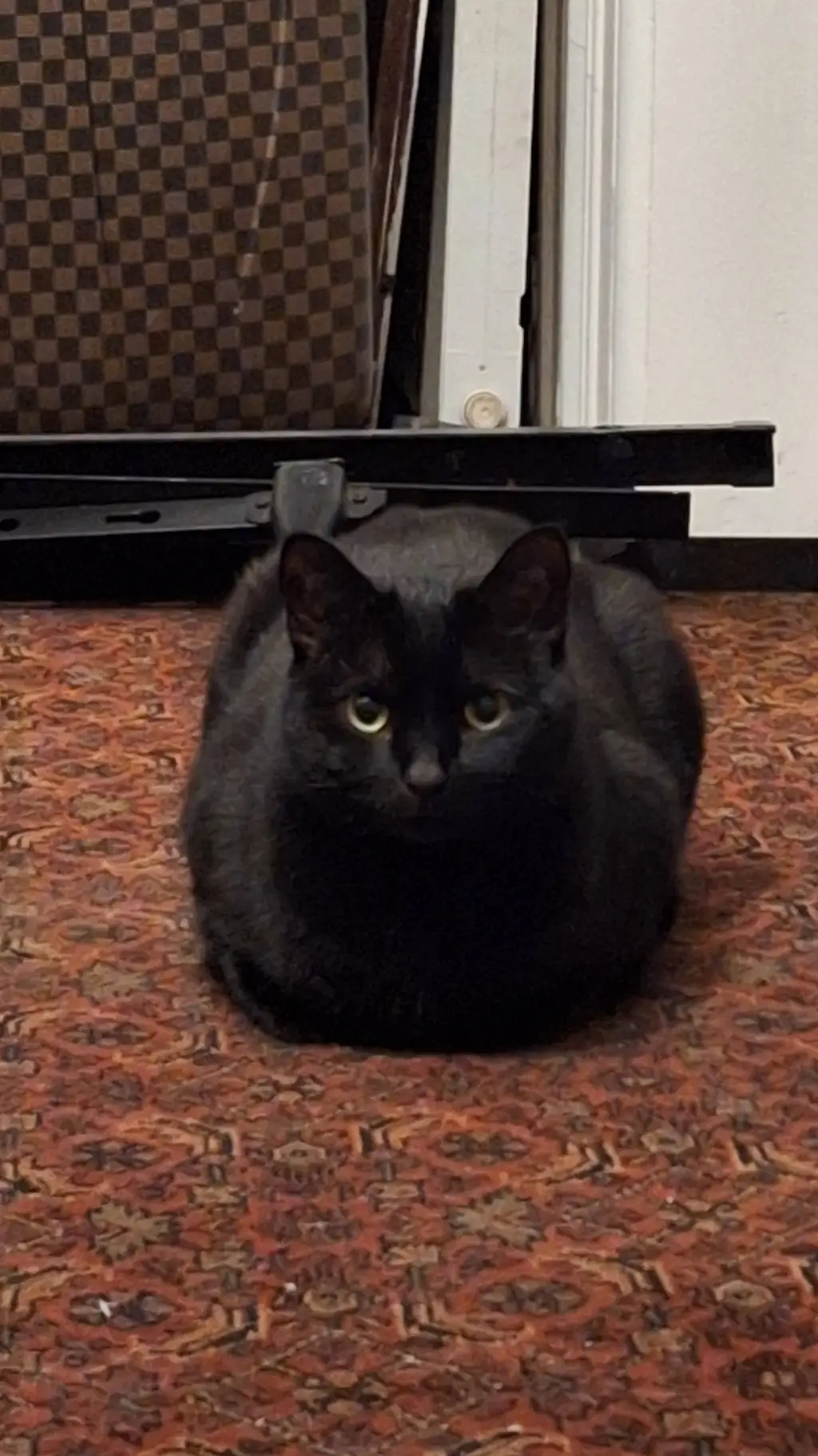 ai character: random background