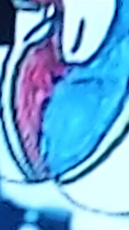 ai character: pomni super gassy background