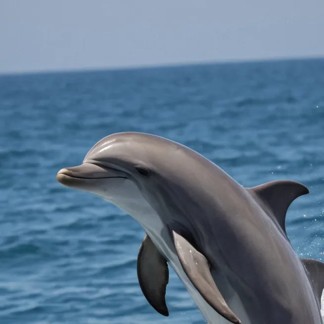 chat with ai character: HB satan