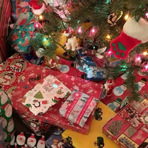 chat with ai character: 🎄| Pikabuu 