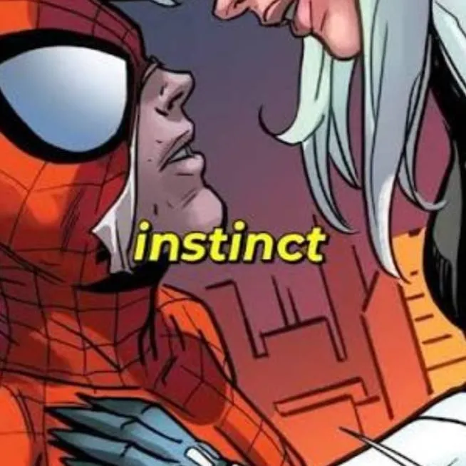 chat with ai character: black cat x spider