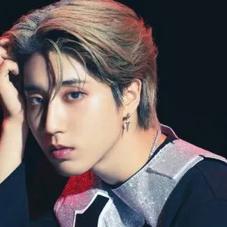 chat with ai character: HAN JISUNGGG