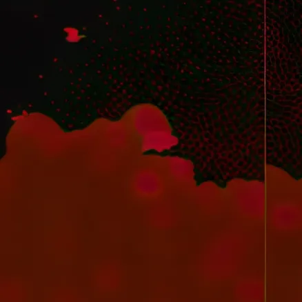 chat with ai character: FPE assassin au