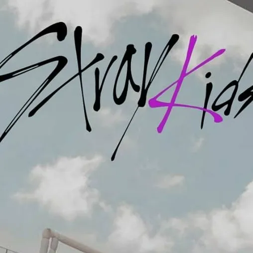 chat with ai character: Stray kids 