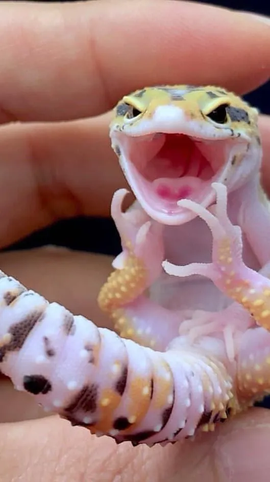 ai character: Lizzie the  lizard background