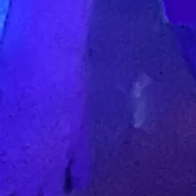 chat with ai character: Dance