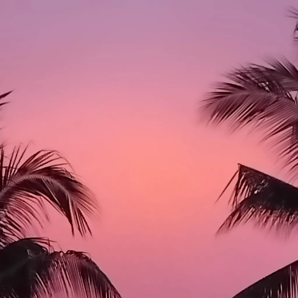 chat with ai character: Faker/impersonator