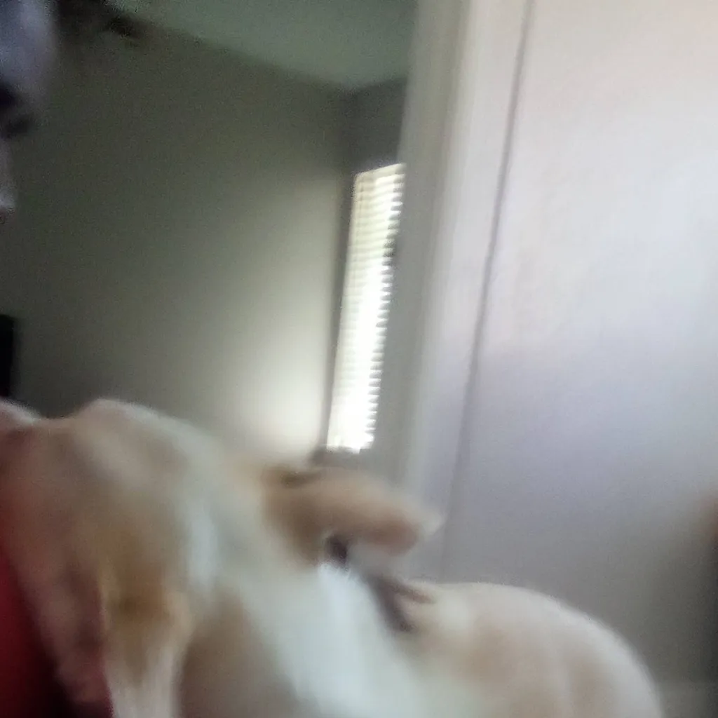 chat with ai character: Daisy