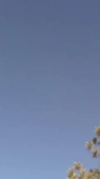 ai character: ben background