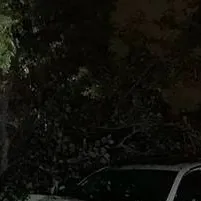 chat with ai character: Car Crash