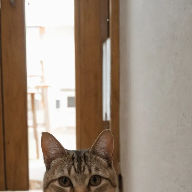 chat with ai character: Gato