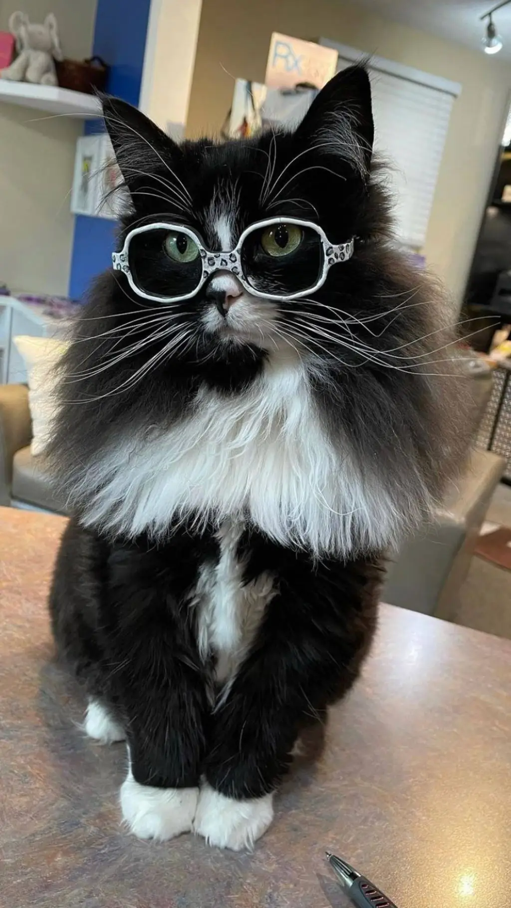 ai character: Evasium background