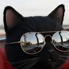 chat with ai character: PureL Cat