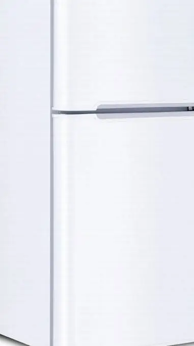 ai character: Fridge v1 background