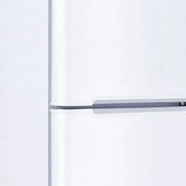 chat with ai character: Fridge v1