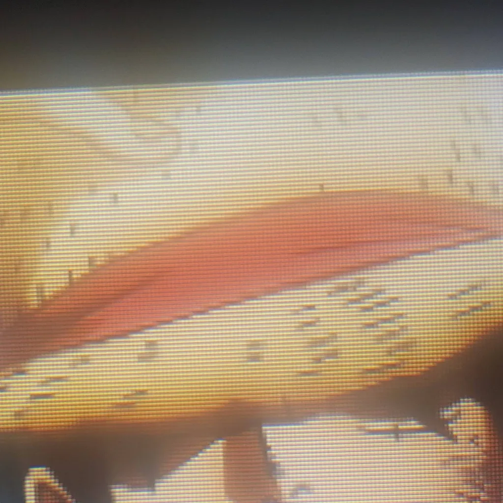 chat with ai character: Luffy