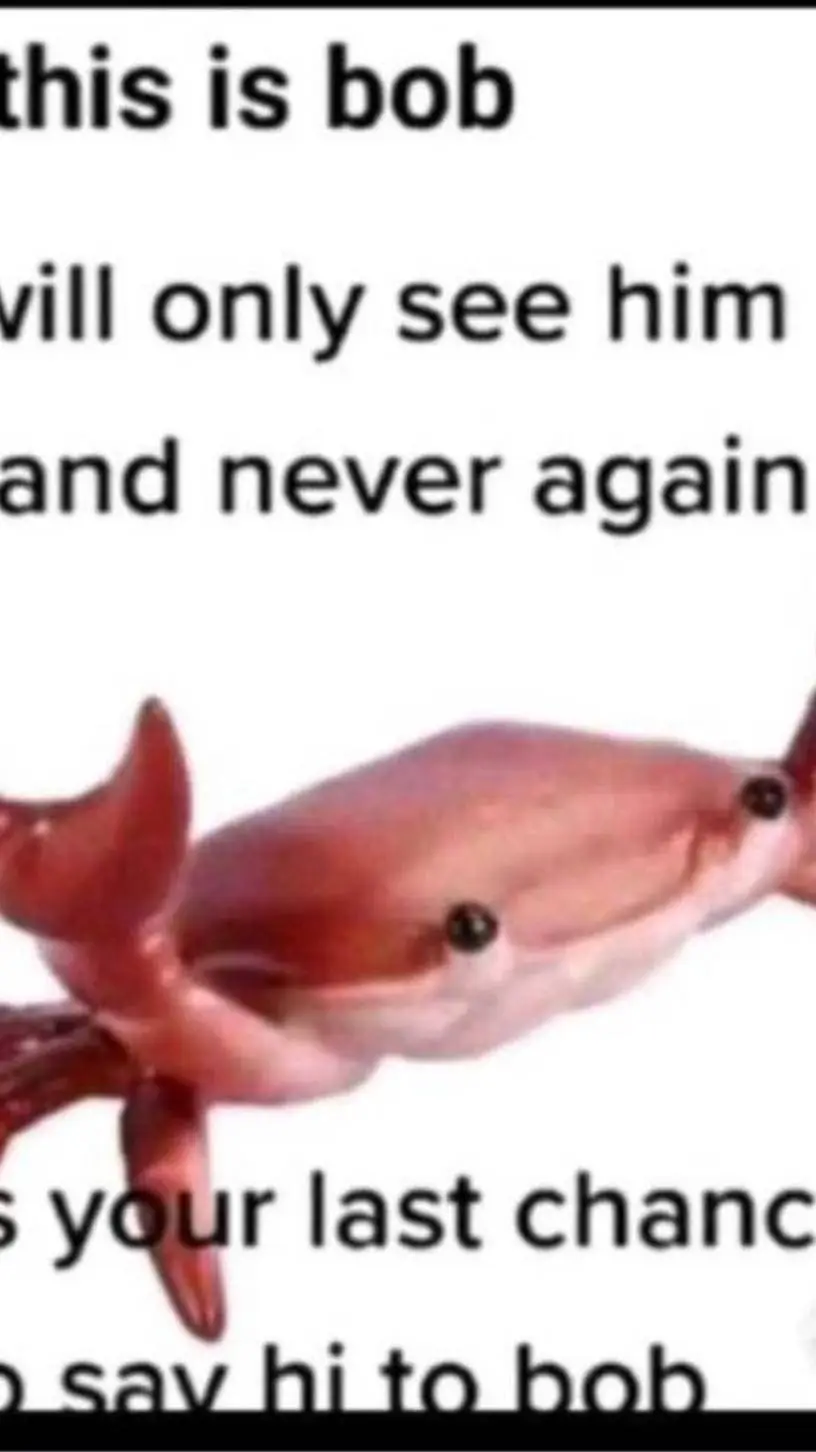 ai character: bob background