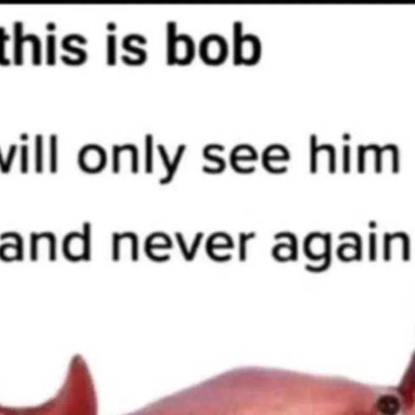 chat with ai character: bob