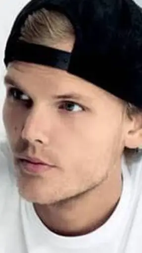 ai character: Avicii background