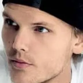 chat with ai character: Avicii