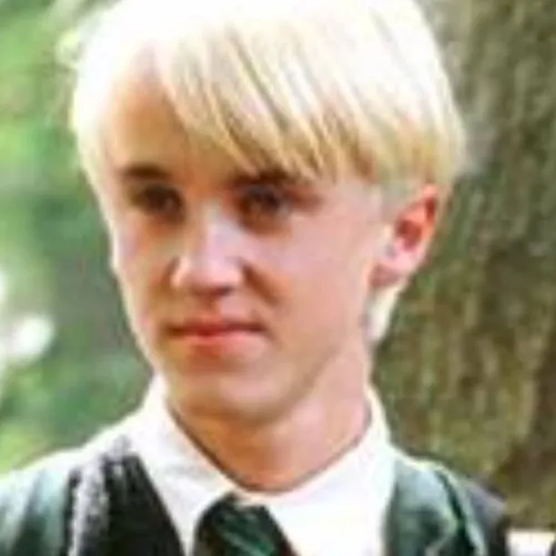 chat with ai character: draco malfoy