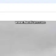 chat with ai character: פרחים