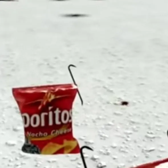 chat with ai character: Dorito war