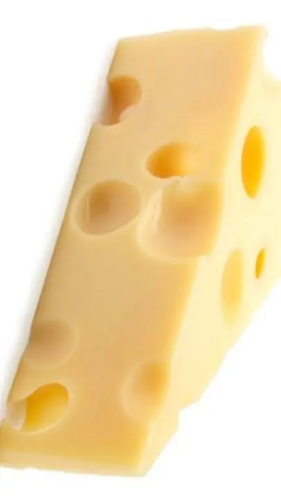 ai character: CHEEEESSSSEEEEEEEE background