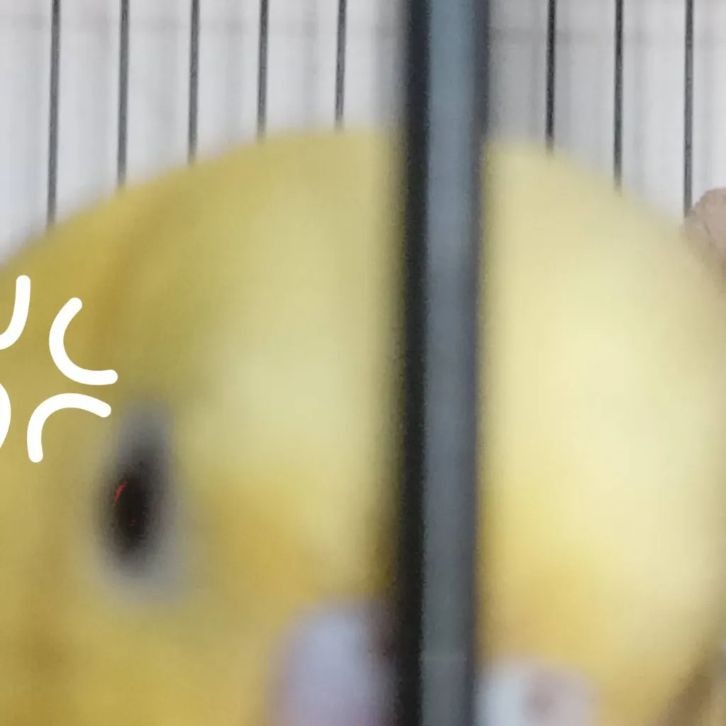 chat with ai character: Jealous Elliot