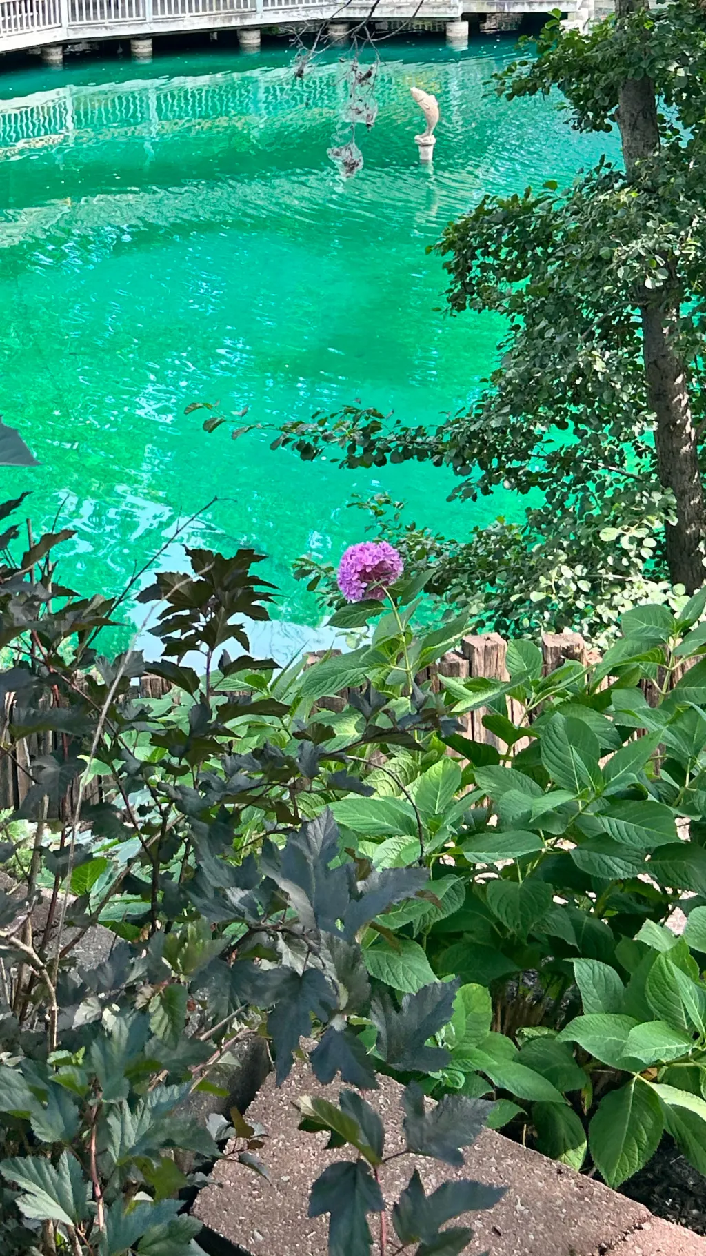 ai character: Anne with an E background