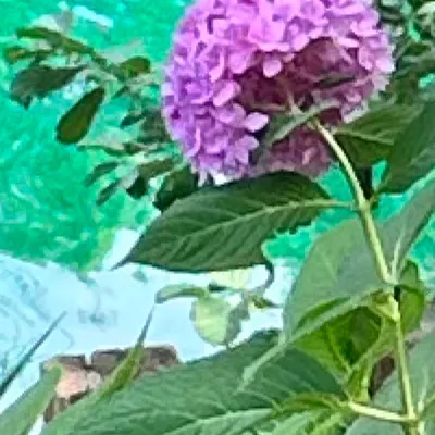 chat with ai character: Anne with an E