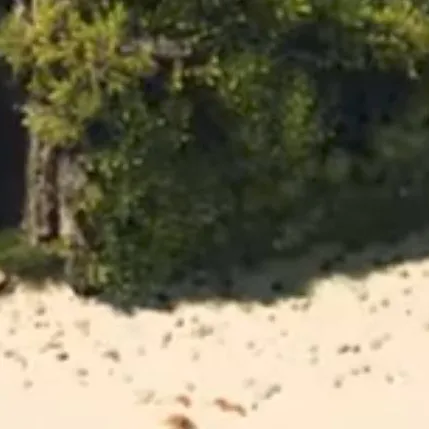 chat with ai character: Crab rave #TTY#