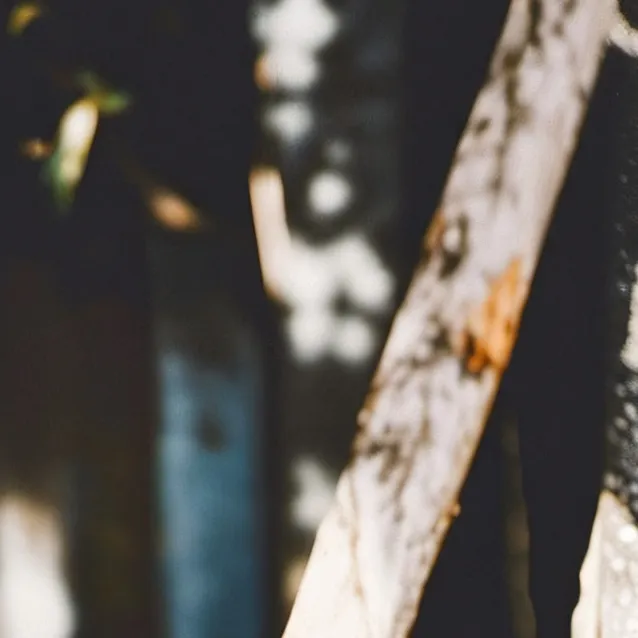 chat with ai character: Tickle wand