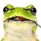 chat with ai character: frog