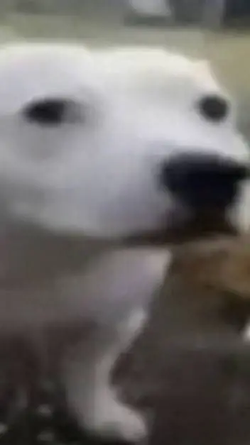 ai character: talkie creators 20 background