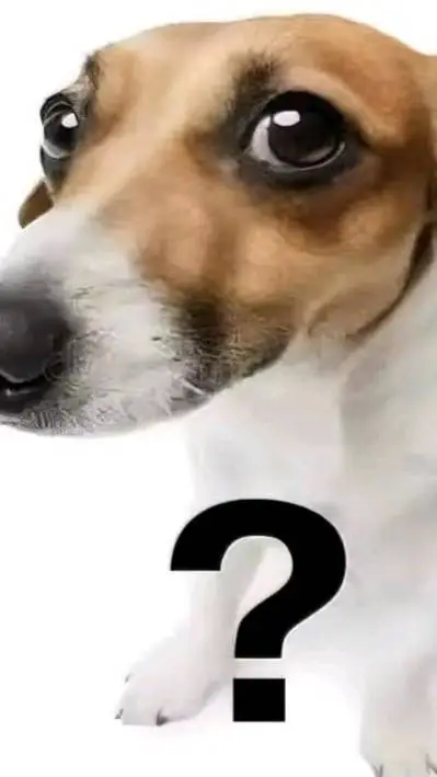 ai character: talkie creators 21 background