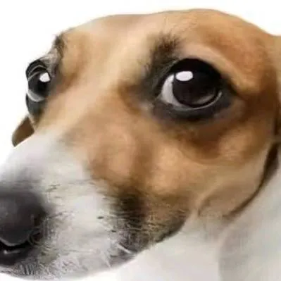 chat with ai character: talkie creators 21