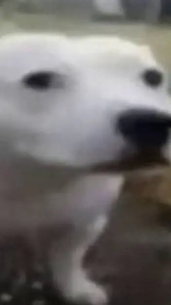 ai character: talkie creators 24 background